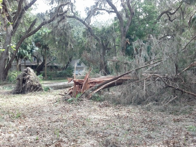 Oatland Hurricane-08.jpg